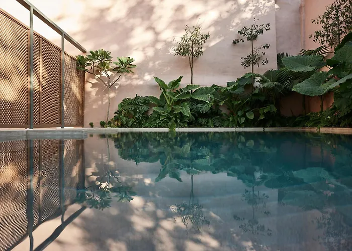 Domus Blanc Boutique