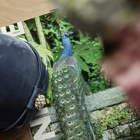 Domus Blanc Boutique Ханья (Крит)