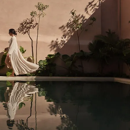 Domus Blanc Boutique