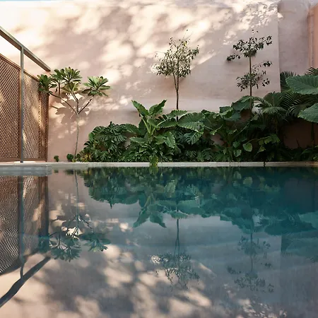 Hotel Domus Blanc Boutique