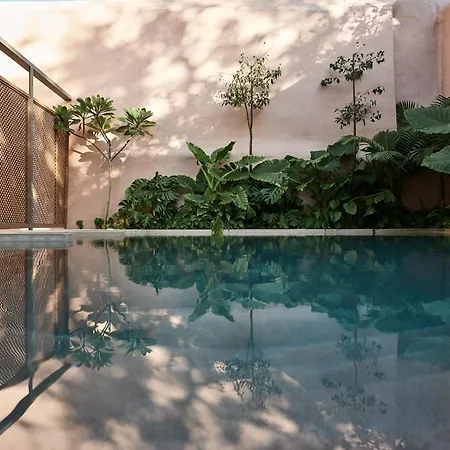 Domus Blanc Boutique