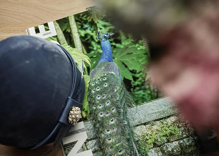 Domus Blanc Boutique Chania (Crete)